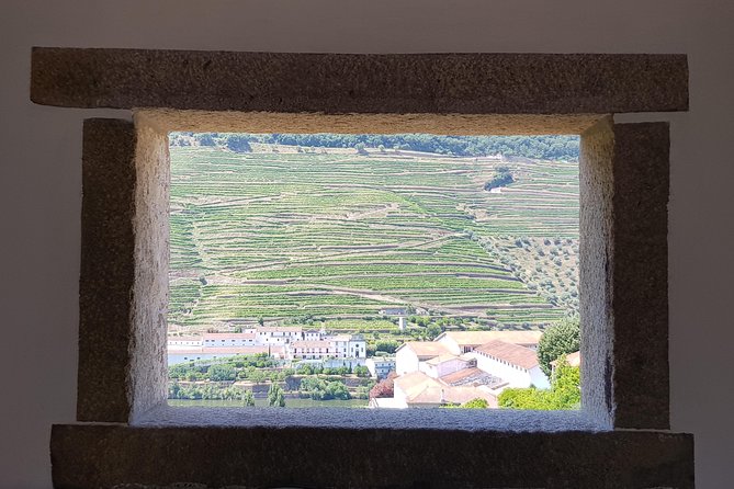 Douro Valley Wine Tour: 3 Vineyard Visits, Wine Tastings, Lunch - Leaving Porto at 8:30 from Igreja da Lapa (and Why Timing Matters)