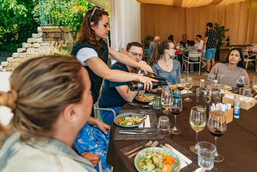 Douro Valley: Wine Tour with Lunch, Tastings & River Cruise - Key things to know before you go