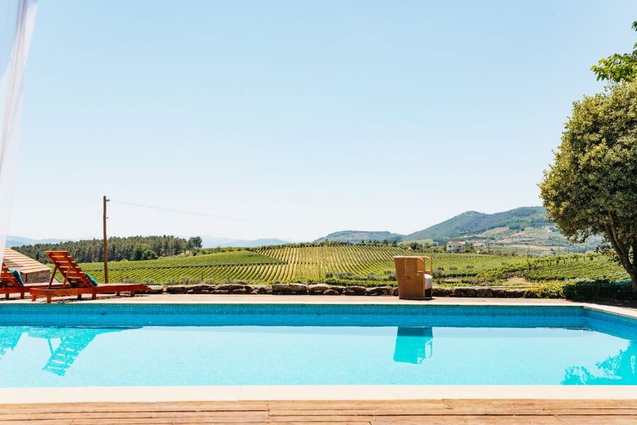 Douro Valley: Wine Tour with Lunch, Tastings & River Cruise - Pricing and value: is $113 worth it?