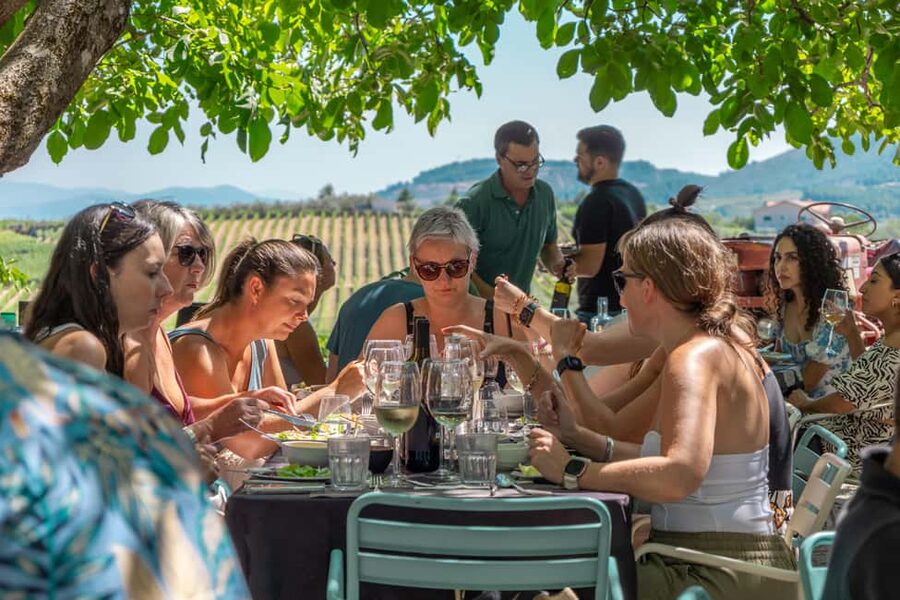 Douro Valley: Wine Tour with Lunch, Tastings & River Cruise - Sabrosa wine estate: guided tasting with a family-owned feel