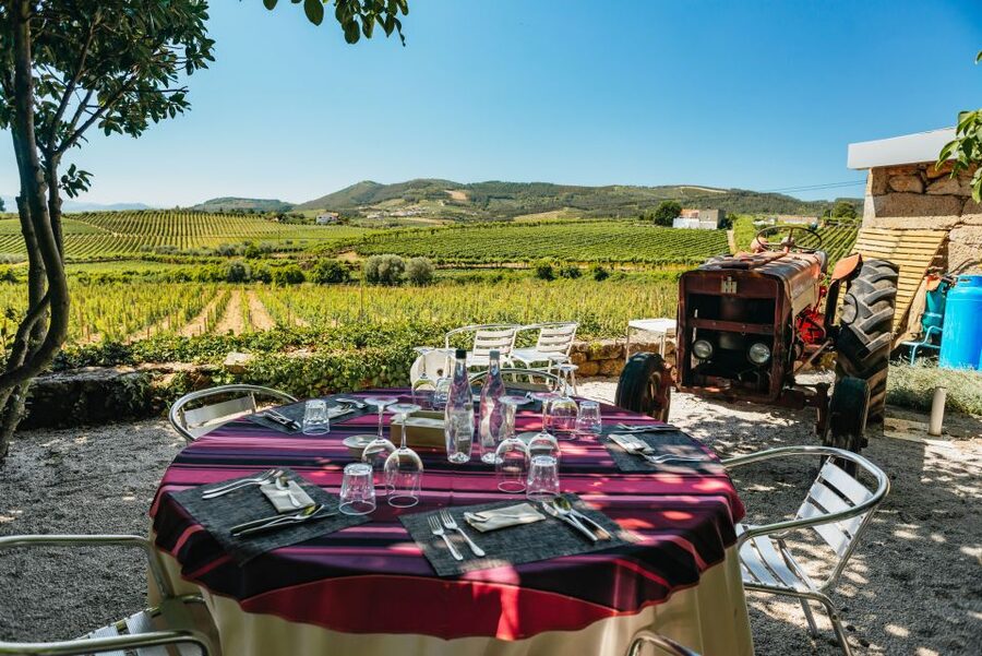 Douro Valley: Wine Tour with Lunch, Tastings & River Cruise - Lunch on a vineyard: where the meal actually matches the view