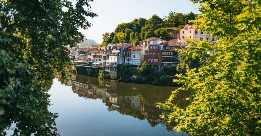 Douro Valley: Wine Tour with Lunch, Tastings & River Cruise - Second winery visit: switching gears to a renowned producer