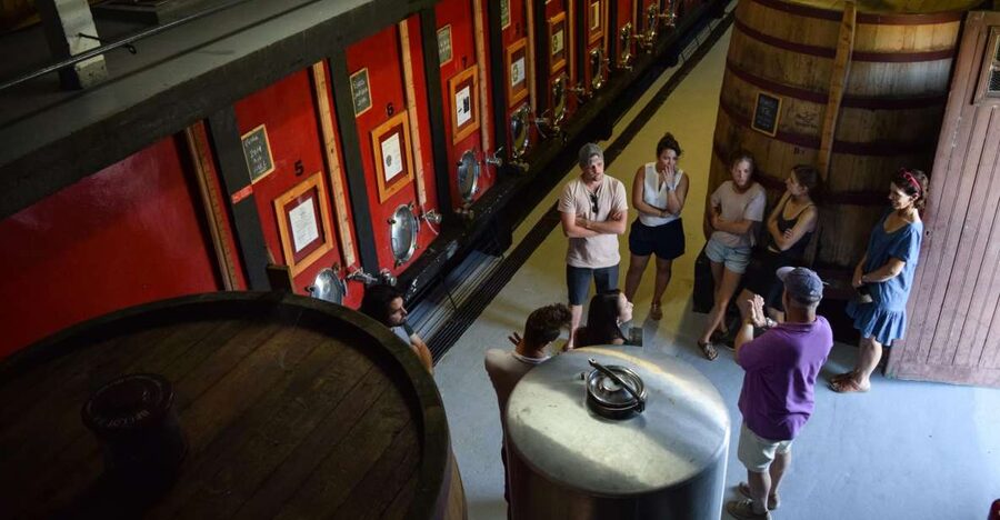 Douro Valley: Winery Tour at Quinta do Tedo and Tastings - Key highlights you’ll remember