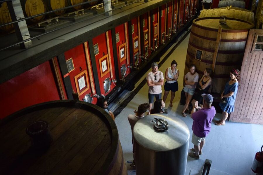 Douro Valley: Winery Tour at Quinta do Tedo and Tastings - Quinta do Tedo: the Douro–Tedo confluence from your seat