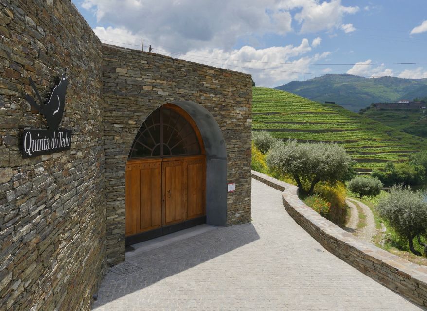 Douro Valley: Winery Tour at Quinta do Tedo and Tastings - Lagares, cellars, bottling, and hand-labeling: the production steps you can visualize