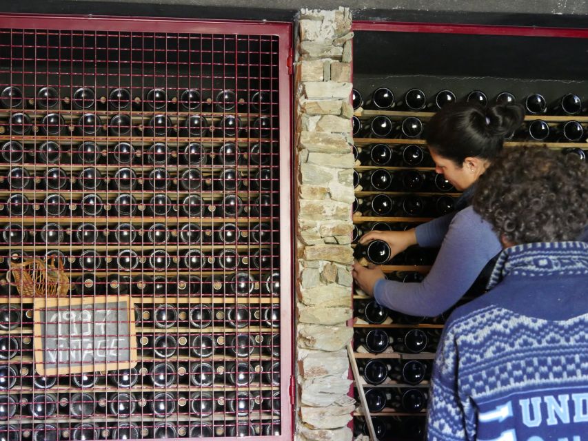 Douro Valley: Winery Tour at Quinta do Tedo and Tastings - The tasting room at Quinta do Tedo: Porto and red wine with the rivers watching