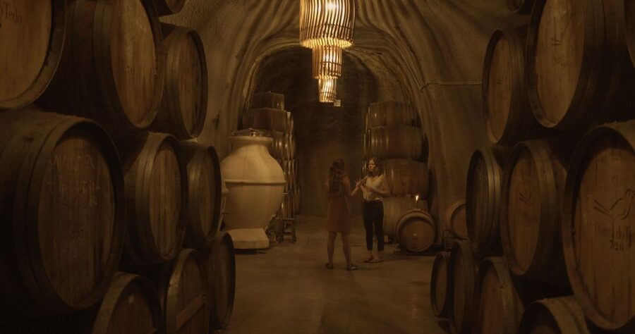 Douro Valley: Winery Tour at Quinta do Tedo and Tastings - The last 5 minutes: shopping you can actually use