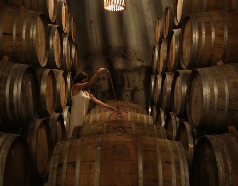 Douro Valley: Winery Tour at Quinta do Tedo and Tastings - Duration and pacing: a one-hour visit with real payoff