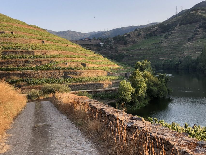 Douro Valley: Winery Tour at Quinta do Tedo and Tastings - Price and value: is $42 fair for Quinta do Tedo?