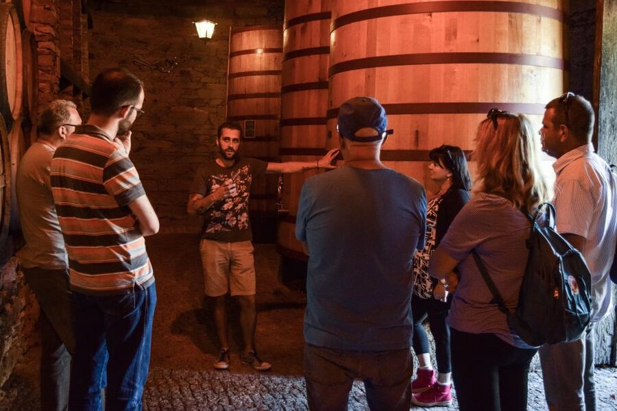 Douro Valley: Winery Tour at Quinta do Tedo and Tastings - Where to meet and how the timing works