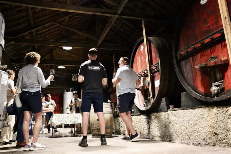 Douro Valley: Winery, Traditional Lunch & Private Boat Trip - Douro River Boat Trip: Snacks, Drinks, and Views From the Water