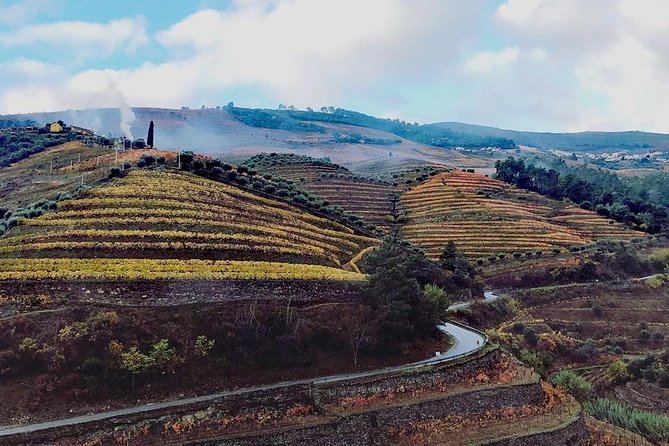 Douro Valley with Two Winery, Boat Trip and Lunch From Porto - Key Things to Know Before You Go