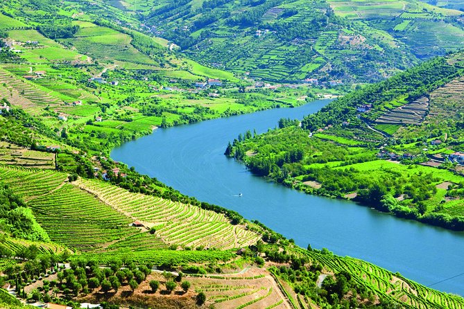 Douro Valley with Two Winery, Boat Trip and Lunch From Porto - From Igreja da Lapa to the Douro: What the Day Actually Feels Like