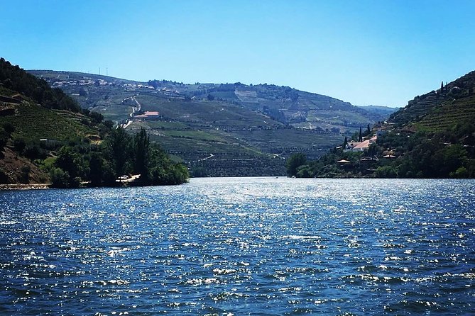 Douro Valley with Two Winery, Boat Trip and Lunch From Porto - Port Wine Estate Visit: Learning the Douro Through Tasting