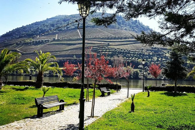 Douro Valley with Two Winery, Boat Trip and Lunch From Porto - Lunch in Tabuaço: Fueling the Middle of the Day