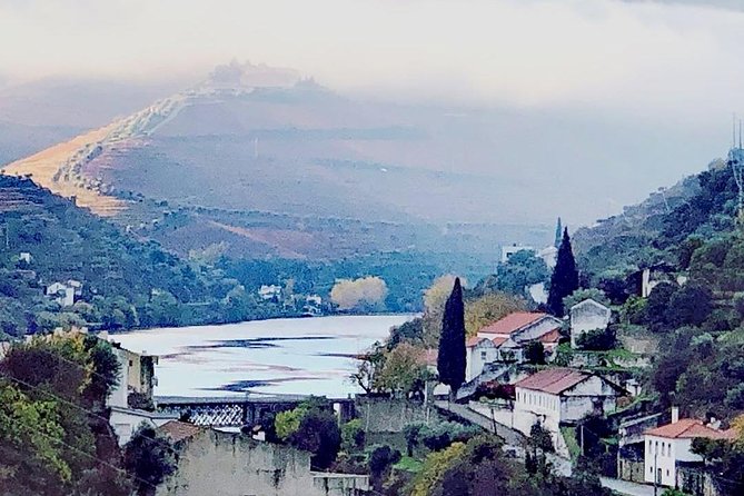 Douro Valley with Two Winery, Boat Trip and Lunch From Porto - Pinhão and the Olive Oil Museum Stop: More Than Just Wine