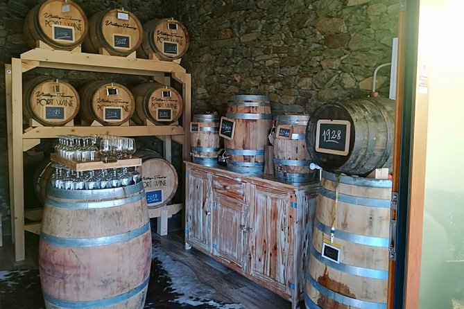 Douro Valley with Two Winery, Boat Trip and Lunch From Porto - Guides Matter: What Makes the Best Days Run Smoothly