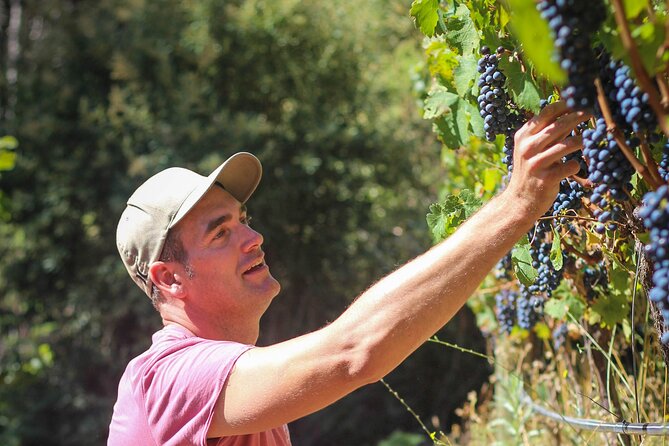 Drumstruck at Silvermist. Live African Drum Show & Wine tasting - Wine tasting led by Gregory Brink Louw (and why it’s worth your time)