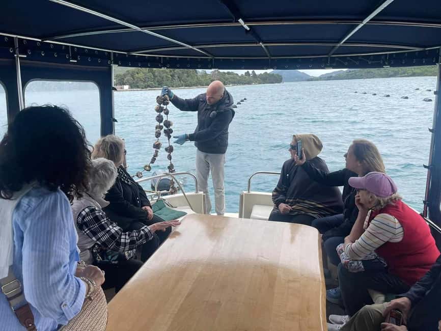Dubrovnik: Oyster, Mussles, and Wine Tasting Tour in Ston - How Much Is $176 Really Worth for This Dubrovnik-to-Ston Food Day?
