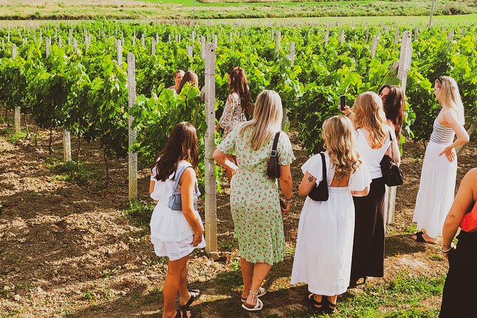 Durrës Countryside Vineyard Experience with Wine & Food Pairing - Lake Boat Ride Snack Stop: The Rose and Charcuterie Moment