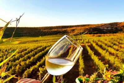 Durrës Countryside Vineyard Experience with Wine & Food Pairing - From Hotel Continental Plepa Durres to the Winery: Timing and Transport