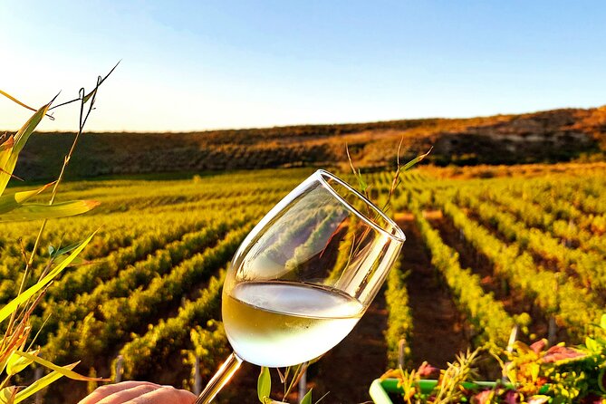 Durrës Countryside Vineyard Experience with Wine & Food Pairing - From Hotel Continental Plepa Durres to the Winery: Timing and Transport