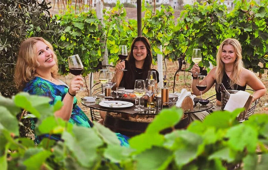 Durres Countryside Vineyards Wine Tasting & Food Pairing - Key moments that make this tour worth your time