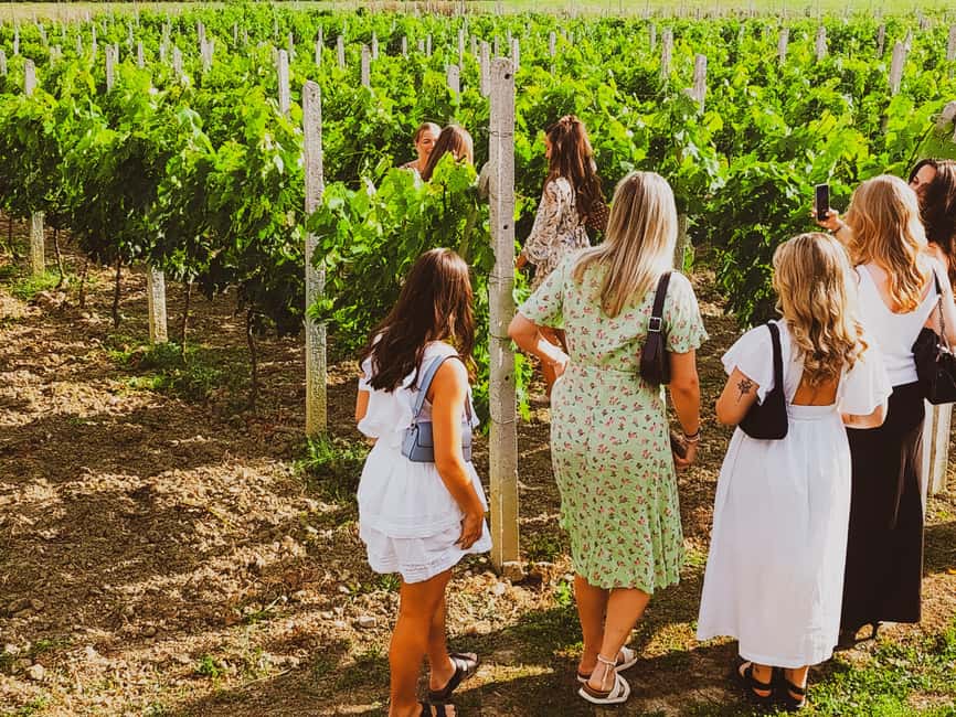 Durres Countryside Vineyards Wine Tasting & Food Pairing - Why Durres countryside wine tasting feels different