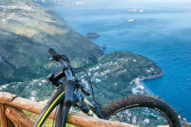 E-Bike Food and Wine Tour in the Sorrento Peninsula - Wine and limoncello: a tasting, not a full meal