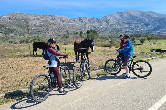 E-Bike Tour + Gourmet Lunch + Wine Tasting (Small Group) - Price and value in Dubrovnik: what $226.88 buys you