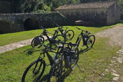 E-Bike Tour + Gourmet Snack + Wine Tasting (Small Group) - E-bikes that make hills feel like they don’t matter