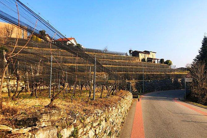 E-Bike Tour Lake Como and Swiss Vineyards - Crossing the Breggia River and arriving in Cernobbio’s La Riva square