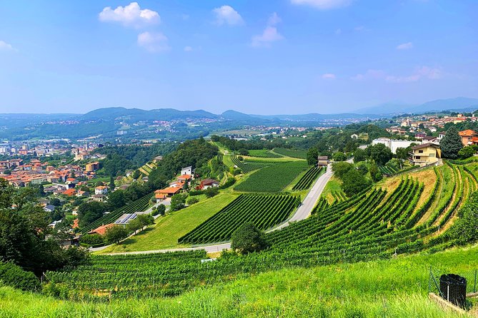 E-Bike Tour Lake Como and Swiss Vineyards - Villa Olmo park and the lake cycling lane: where the tour finds its rhythm