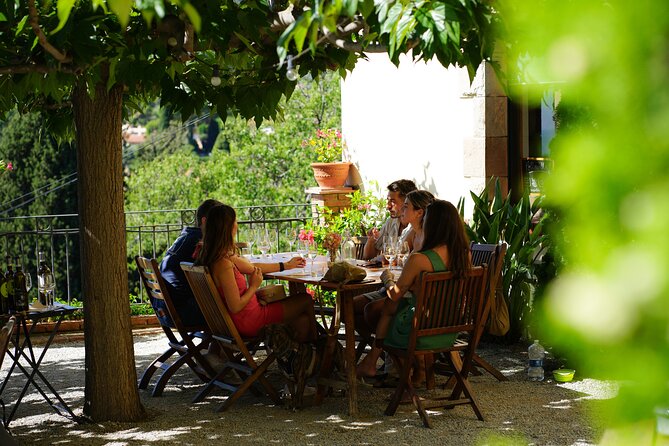 Ebike Tour, Winery, Wine Tasting & Sailing Experience(car option) - Alella winery: a guided tour plus 2 hours that actually feels like time
