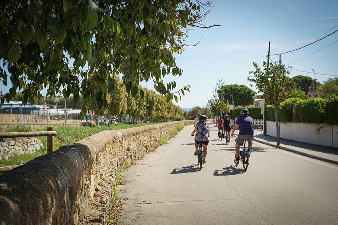 Ebike Tour, Winery, Wine Tasting & Sailing Experience(car option) - Price and value: why this $108 ticket is more than it looks