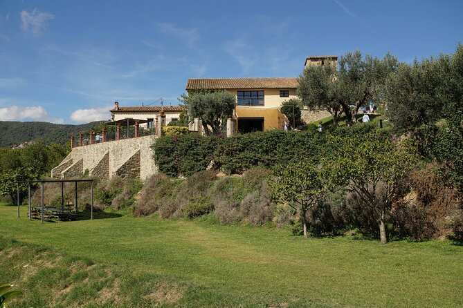 Ebike Tour, Winery, Wine Tasting & Sailing Experience(car option) - Practical tips for a smoother day in Barcelona heat or rain