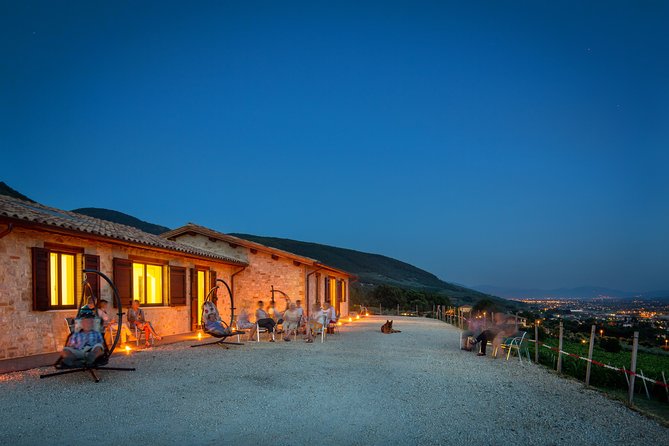 Enjoy and Taste the Flavors of Wine in an Open-air Venue - Key highlights worth your time