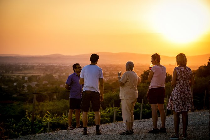 Enjoy and Taste the Flavors of Wine in an Open-air Venue - Organic Wine in Assisi’s Hills: What Makes This Tasting Work