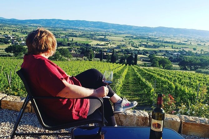 Enjoy and Taste the Flavors of Wine in an Open-air Venue - Vineyard and Olive Grove Time: Walk It Before You Sip
