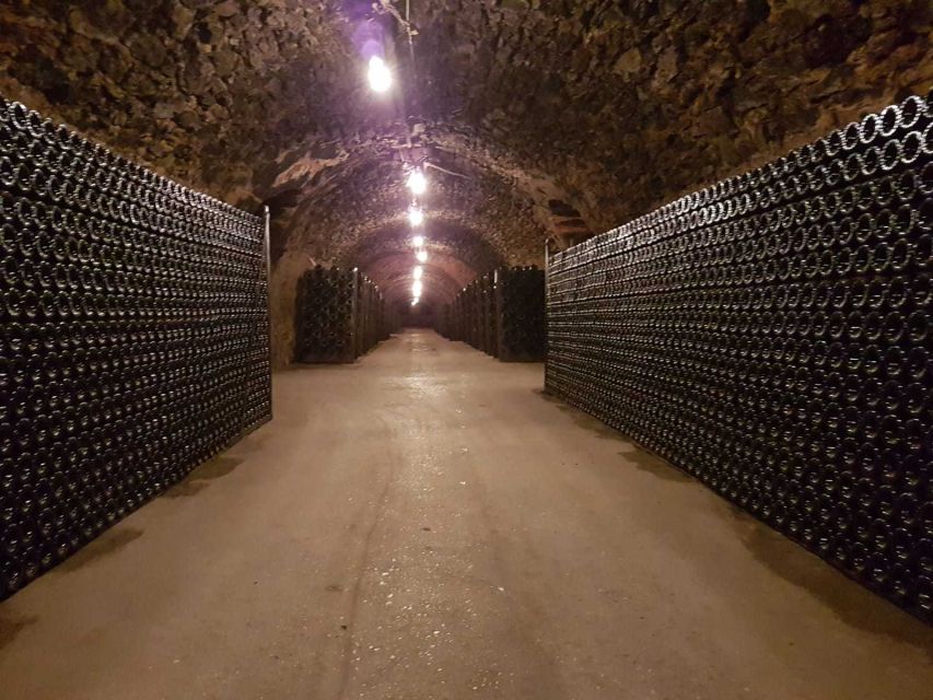 Epernay: Guided Tour of Champagne Cellar with Tastings - Price, timing, and practical tips that actually help
