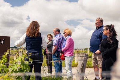 Essential Wine Tour with Tasting & Chateau Visits from Bordeaux - Getting to the First Cellar: The 30-Minute Drive Out of Bordeaux