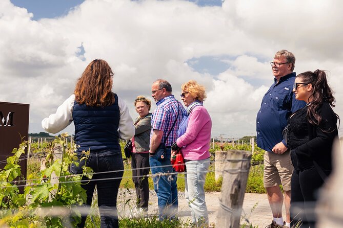 Essential Wine Tour with Tasting & Chateau Visits from Bordeaux - Getting to the First Cellar: The 30-Minute Drive Out of Bordeaux