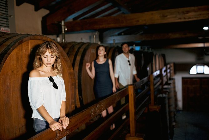 Etna Countryside Food & Wine Lovers Tour (Small Group or Private) - Why the food-and-wine pairing works on Etna
