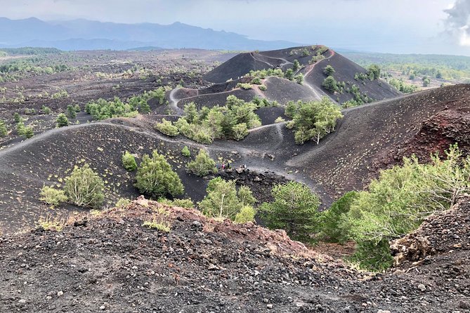 Etna, Wine and Alcantara Tour - From Taormina - Quick Takeaways Before You Go