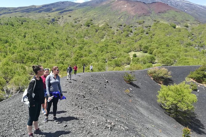 Etna, Wine and Alcantara Tour - From Taormina - The Etna Wine Lunch: Eating Like a Local, Not Just Filling Up