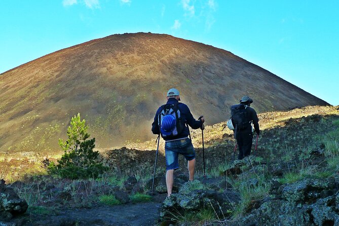 Etna Wine and Alcantara with lunch - Mount Etna hike: 2,000 meters, Crateri Sartorius, and a real workout