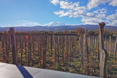 Etna Wine and Alcantara with lunch - Getting picked up in Catania and set up for the day