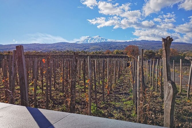 Etna Wine and Alcantara with lunch - Getting picked up in Catania and set up for the day
