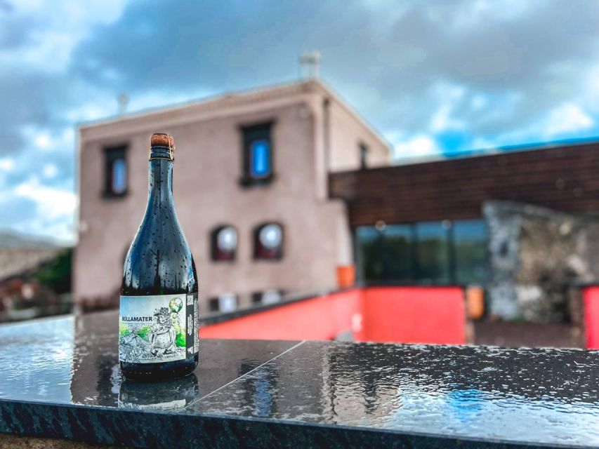 Etna: Wine Tasting and Food Tour - Winery stop one: learning how Etna wine gets made