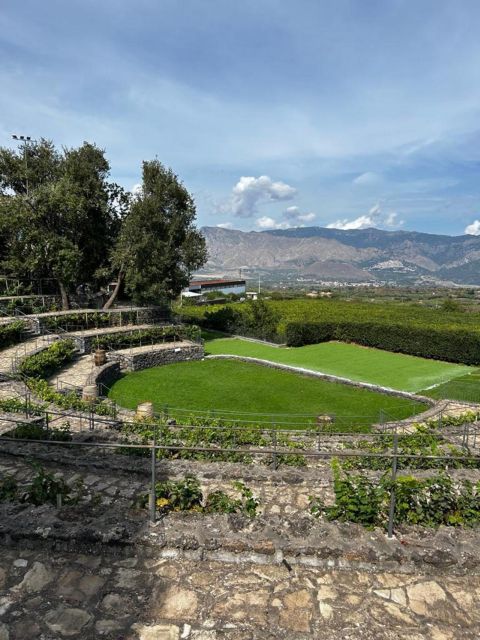 Etna: Wine Tasting and Food Tour - The vineyard time after lunch: where the tasting makes sense
